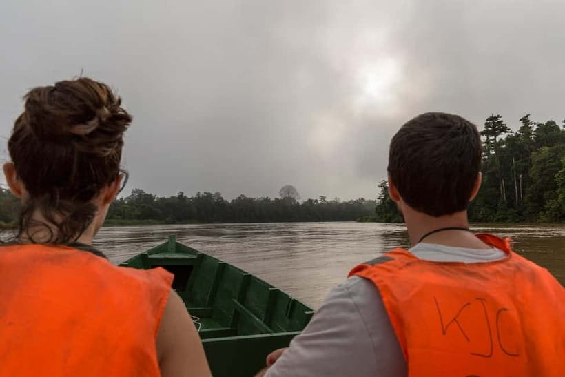 Sandakan: Sukau Rainforest Wildlife Journey & Dawn Cruises - Key things I’d focus on before you go