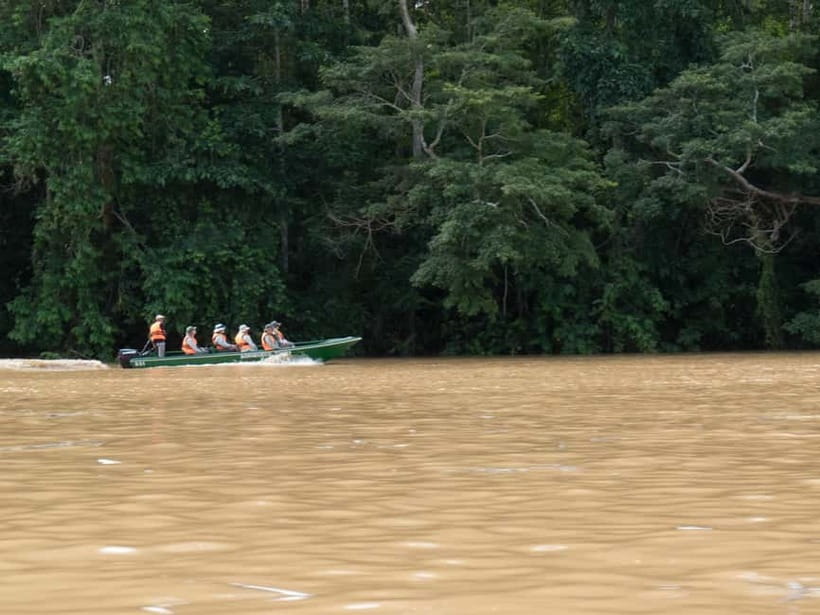 Sandakan: Sukau Rainforest Wildlife Journey & Dawn Cruises - Kinabatangan River: Why This Corridor Matters