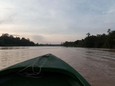Sukau Rainforest Wildlife Journey & Dawn Cruises
