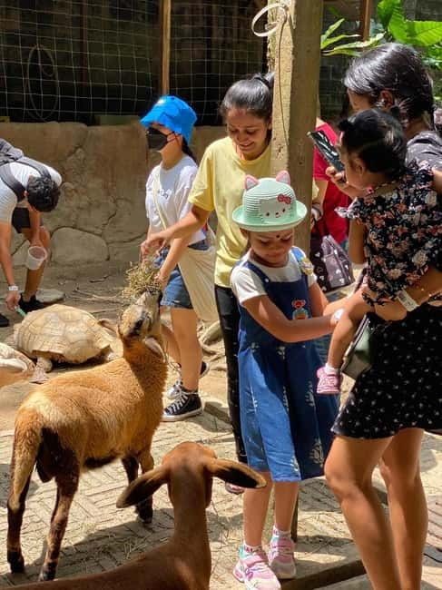 Selangor: Farm In The City Entry Ticket - Key highlights you should not miss