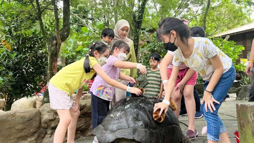 Selangor: Farm In The City Entry Ticket - Entering the Grounds: Redemption and First Impressions