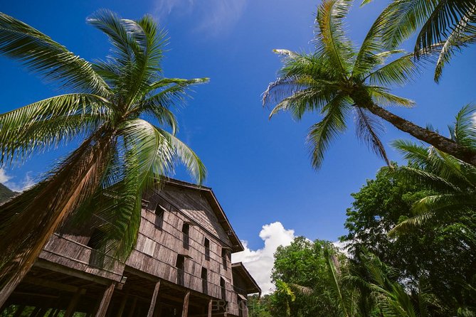 Semenggoh Orangutan Center & Sarawak Cultural Village - Who should book this Semenggoh and Cultural Village day