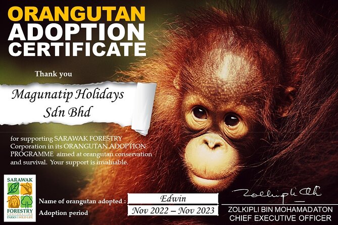 Semenggoh Orangutan Centre from Kuching - The rainforest walk: what it adds before you reach the feeding platform