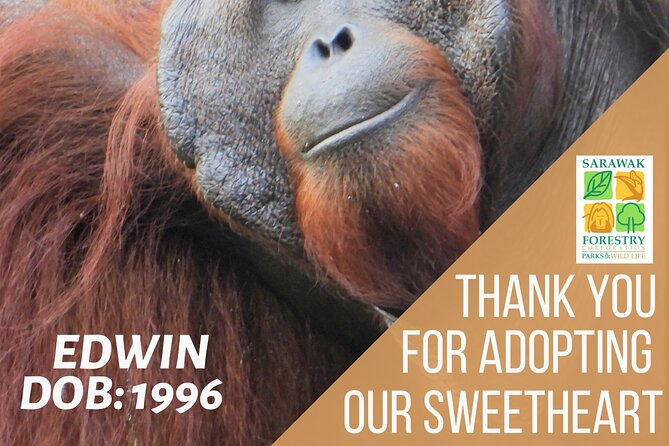 Semenggoh Orangutan Centre from Kuching - Price and value: what $66 buys you in real terms