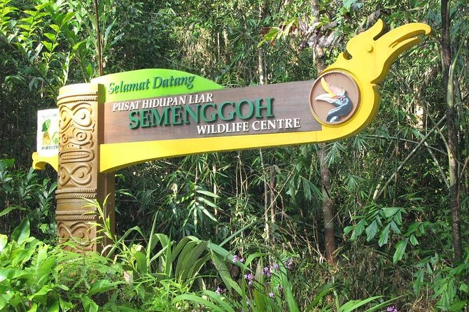 Semenggoh Wildlife Centre: Orangutan Discovery from Kuching - Price and value from Kuching: what you are paying for