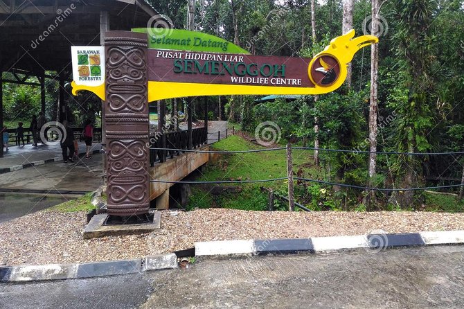 Semenggoh Wildlife Centre Tour: Discover Sarawak’s Orangutans - Where guide skill makes the difference (especially around feeding time)