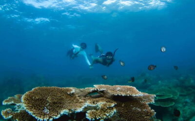 Explore 3 Islands Tour Snorkel or Dive & Lunch