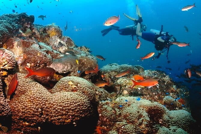 Semporna Hike Bohey 3 Island Snorkel Dive Tour and Lunch - How tides, weather, and park decisions change your day