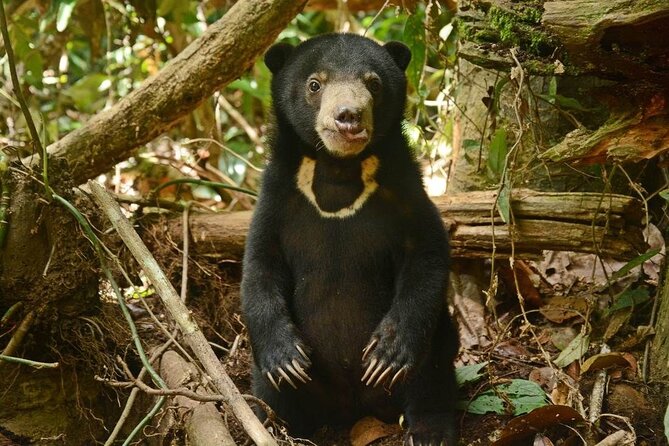 Sepilok Orang Utan, Sun Bear & Sandakan Nature City Tour + Lunch - Sandakan Memorial Park: A Quiet Midday Reality Check