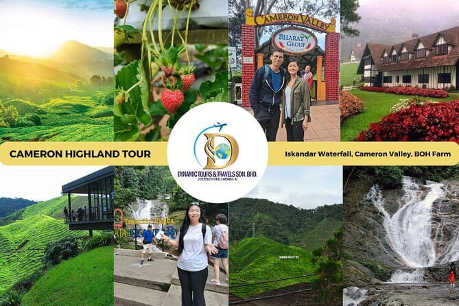 Shared Fireflies Tour with Blue Tears and Seafood Dinner - Stop 1: Bukit Melawati and the Altingsburg Lighthouse viewpoints