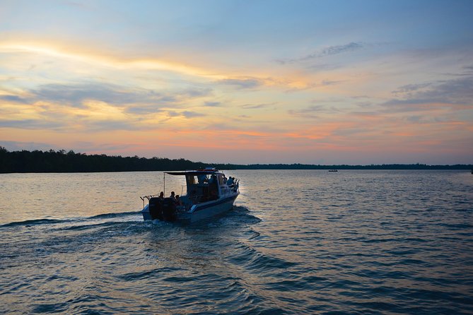 Shared Mangrove & Irrawaddy Dolphin Watching Cruise - Key things to know before you go