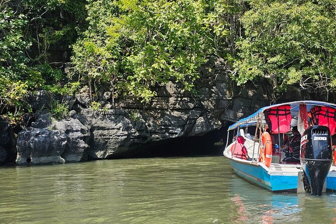 Sharing Half Day Mangrove Boat Tour With Lunch in Langkawi - What Makes Langkawi’s Kilim Mangroves Special