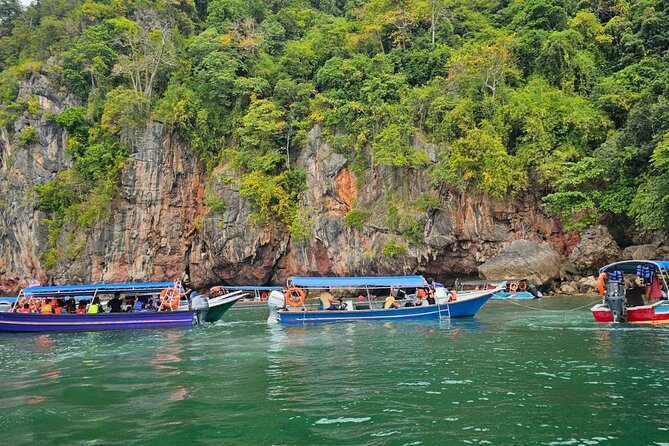 Sharing Half Day Mangrove Boat Tour With Lunch in Langkawi - Stop 2: Monkey Zone and Mangrove Time at Tanjung Rhu