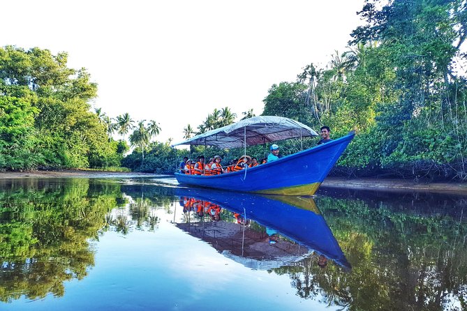 Sky-Mirror Photographing and Proboscis Monkey & Fireflies Watching River-Cruise - Key things to know before you go