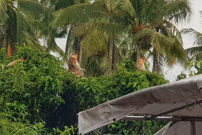 Sky-Mirror Photographing and Proboscis Monkey & Fireflies Watching River-Cruise - River, beach, and fireflies: what the evening feels like