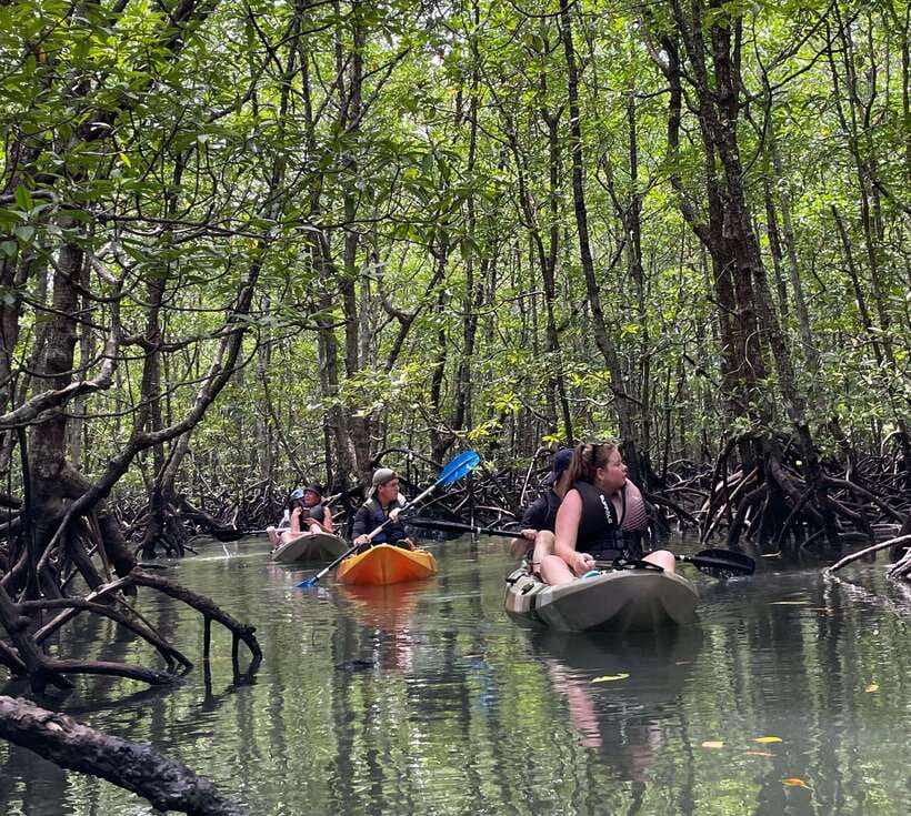 Small Group, Big Heart: Kilim Karst Mangrove Kayak Adventure - Lunch at the floating hub: where the tour slows down on purpose