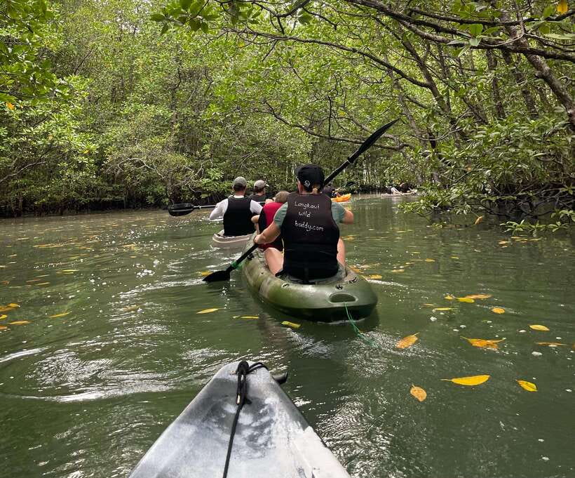 Small Group, Big Heart: Kilim Karst Mangrove Kayak Adventure - Bat Cave basics: bats, formations, and what to expect