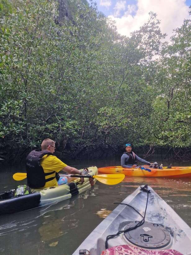 Small Group, Big Heart: Kilim Karst Mangrove Kayak Adventure - Eco-conscious tourism: what the rules tell you about the mindset
