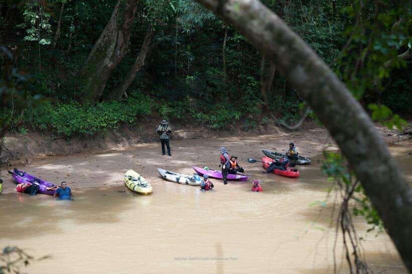 Sungai Berang Wildlife & Cultural Kayak Tour - The 3-hour paddle: easy paddling, big attention to wildlife