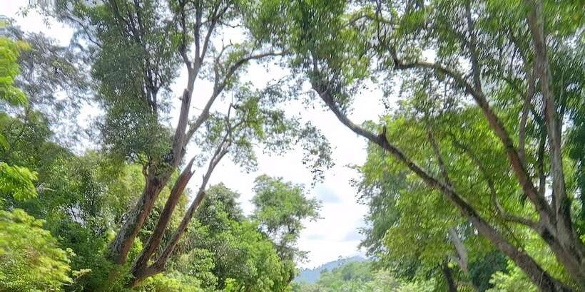 Sungai Berang Wildlife & Cultural Kayak Tour - What you bring makes or breaks the day