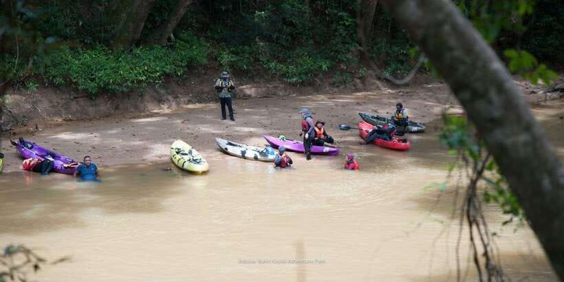Sungai Berang Wildlife & Cultural Kayak Tour - Weather, rain, and high water: plan like a local