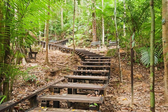Taman Negara Day Tour with Canopy Walk - Why Taman Negara feels like a time machine from Kuala Lumpur