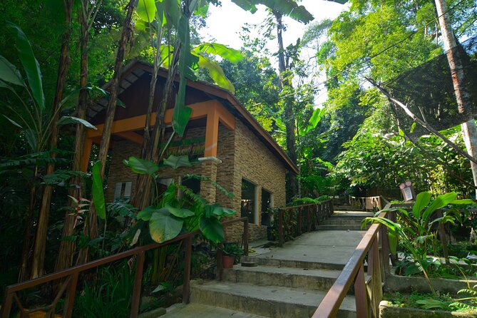 Taman Negara Day Trip from Kuala Lumpur with Lunch - Key highlights at a glance