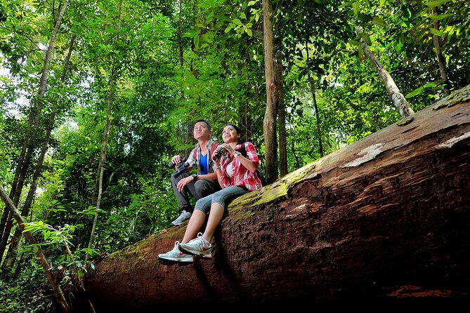 Taman Negara Day Trip from Kuala Lumpur with Lunch - The boat ride break: why that in-park transport matters