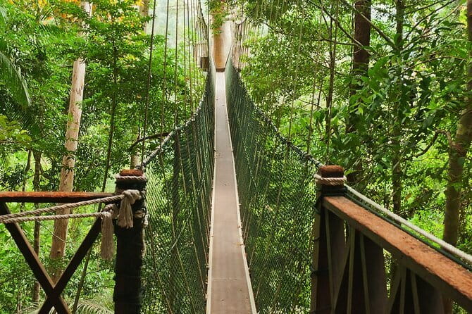 Taman Negara National Park Day Excursion from Kuala Lumpur PVT - Malaysian Fruits and the Nature Guide Factor
