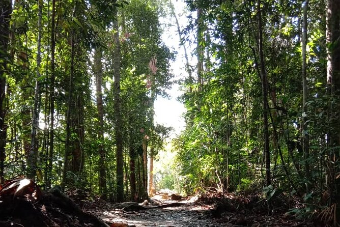 Taman Negara National Park Day Tour (SIC - Join In Tour) - Riding out of Kuala Lumpur, then straight into Taman Negara time
