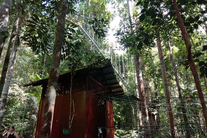 Taman Negara National Park Day Tour (SIC - Join In Tour) - Teresek Hill jungle trekking, and how the hike may change