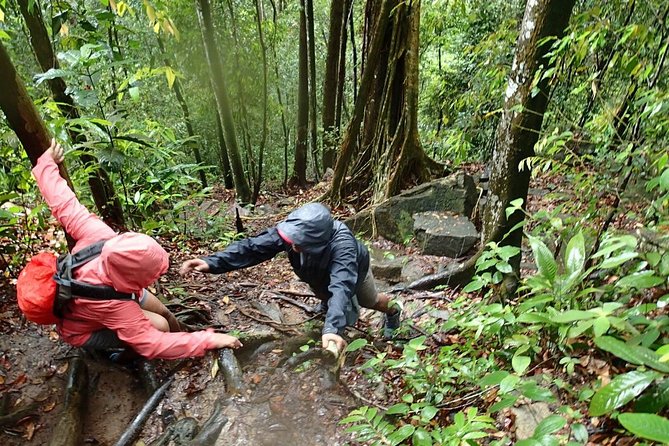 Templer Park and Kanching Waterfall Tour with Batu Caves Stopover - Kanching Rain Forest Waterfall: Trail Time, Picnic Spots, and Swim-Ready Pools