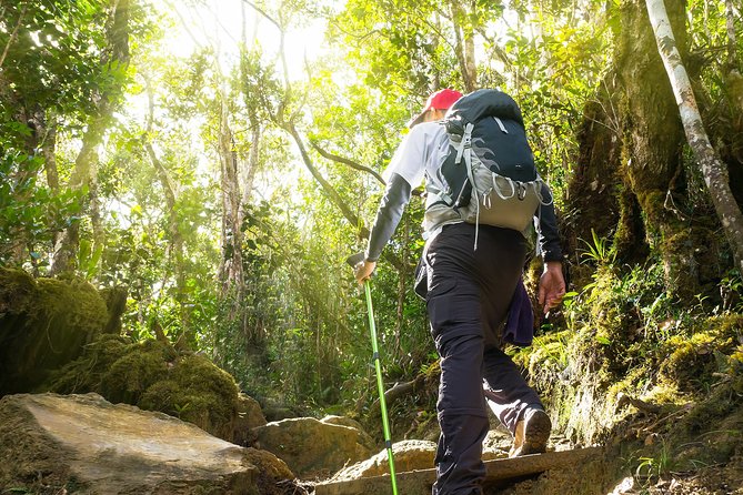 Templer Park and Kanching Waterfall Tour with Batu Caves Stopover - Timing, Heat, and What to Pack for Batu Caves Steps and Waterfall Pools