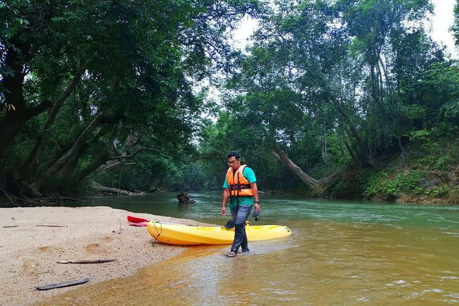 Terengganu Wildlife Kayak Tour - Key things you’ll notice on this Terengganu kayak tour