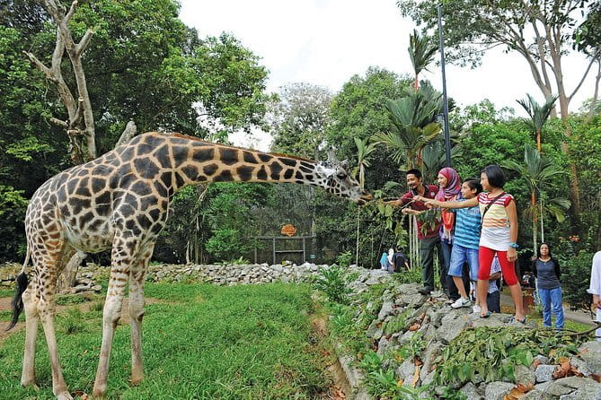 Terengganu Wildlife Kayak Tour - Price and Value: Is $60 Worth It?