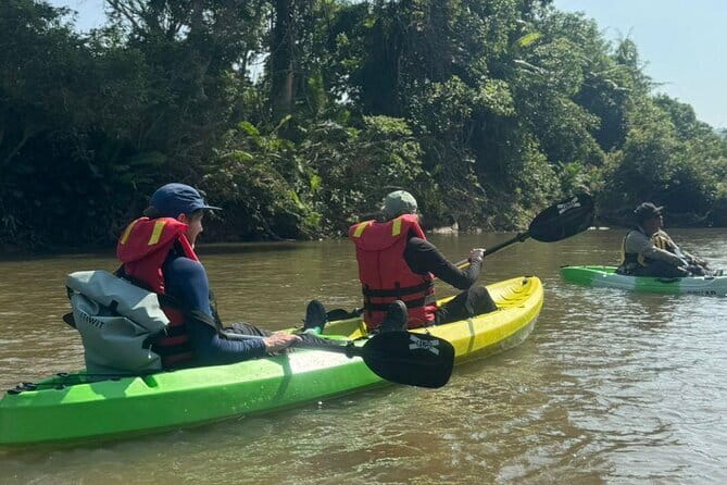 Terengganu Wildlife Kayak Tour - Down the Sungai Berang: Wildlife Chances and How to Spot Them