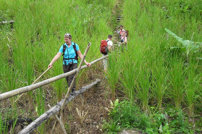 Traditional Bidayuh Village Bamboo Longhouse Tour - What happens once you arrive: your guided longhouse visit