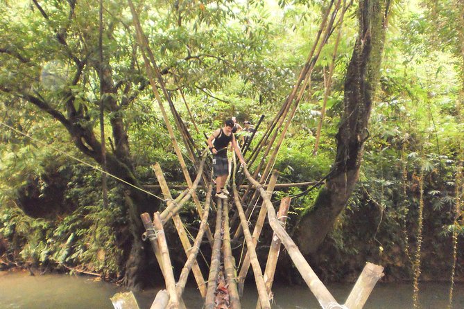 Traditional Bidayuh Village Bamboo Longhouse Tour - Inside the longhouse: architecture you can actually understand