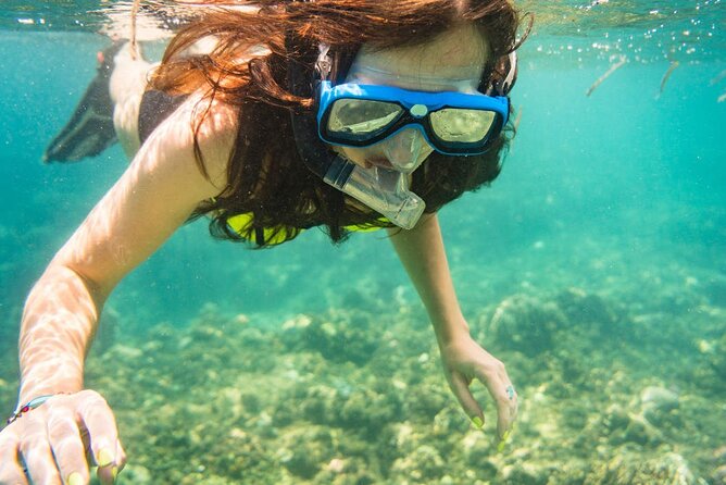Tunku Abdul Rahman Park 2 Islands Hopping Tour from Kota Kinabalu - Stop 2: Manukan Island snorkeling and jungle-walk style time