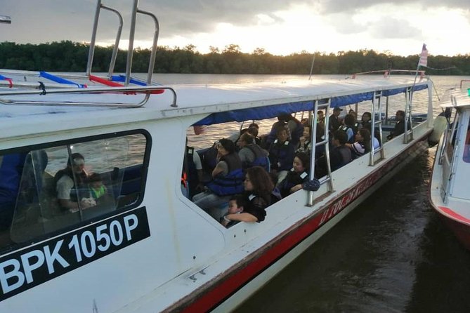 Twinkling Kuala Selangor Firefly Boat Tour from Kuala Lumpur - Kuala Selangor From KL, Without the Headache