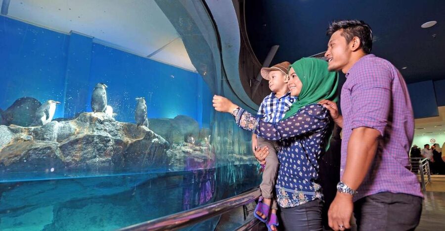 Underwater World Langkawi Admission Ticket - Key Highlights Worth Your Time