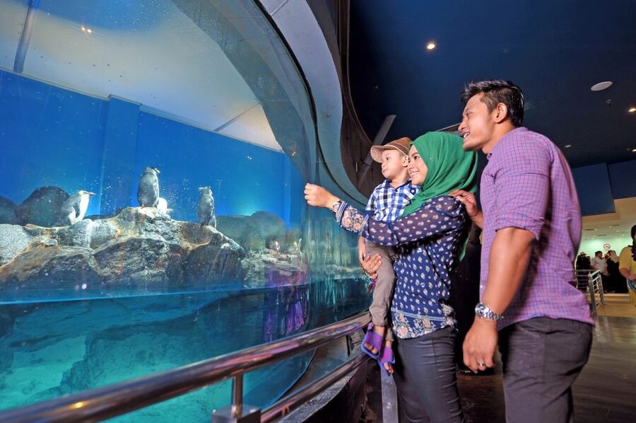 Underwater World Langkawi Admission Ticket - Penguinariums With Underwater Tunnel Views
