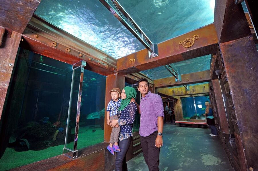 Underwater World Langkawi Admission Ticket - What 4,000 Aquatic Species Means for Your Time Budget