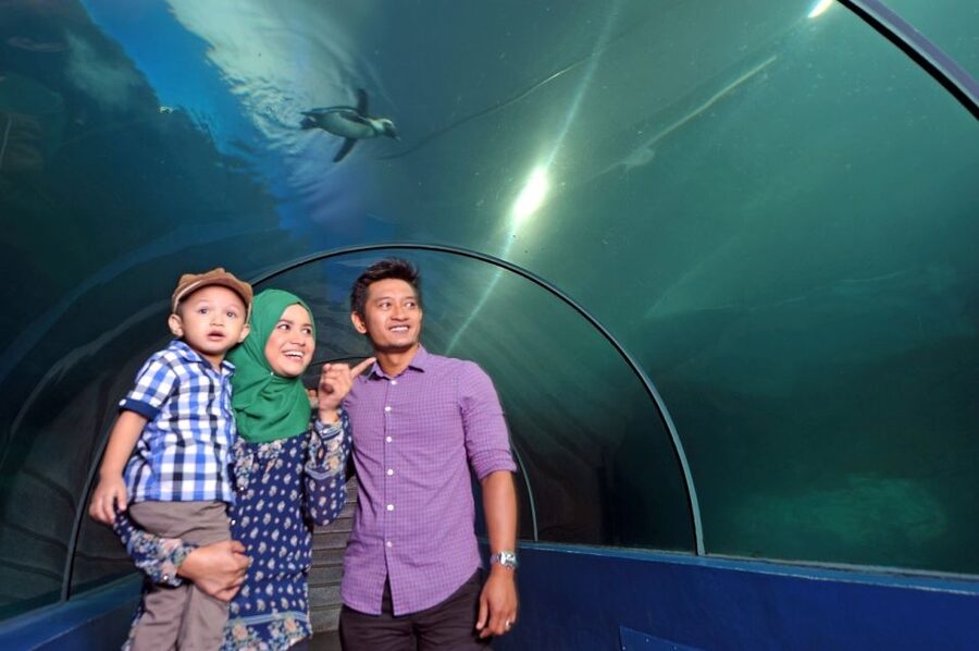 Underwater World Langkawi Admission Ticket - Location, Entry Area, and the Duty-Free Combo