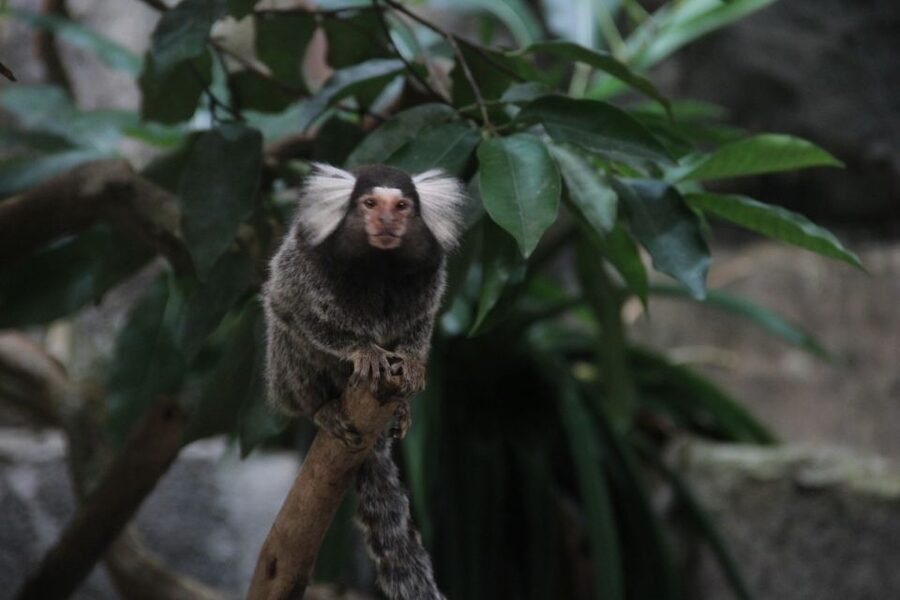 Underwater World Langkawi Admission Ticket - Ticket Value: Is $15 a Good Deal?
